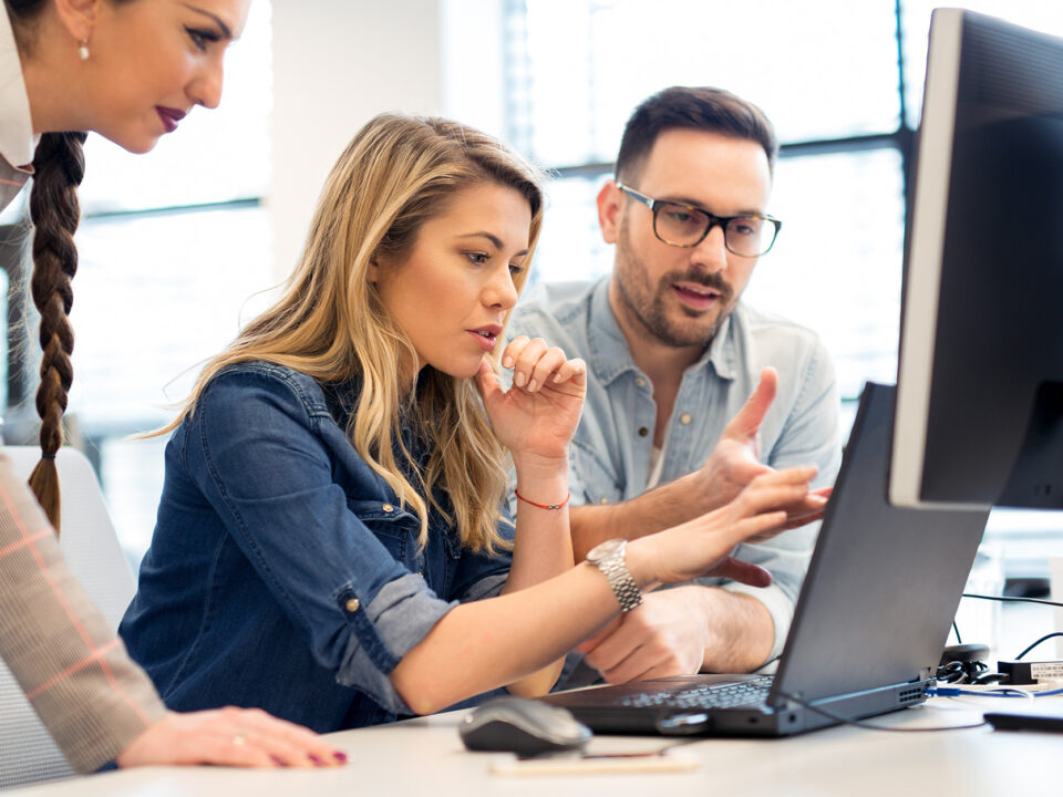 Group of business people and software developers working as a team in office